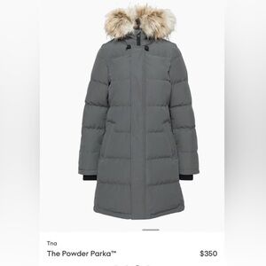 Aritzia Powder Parka